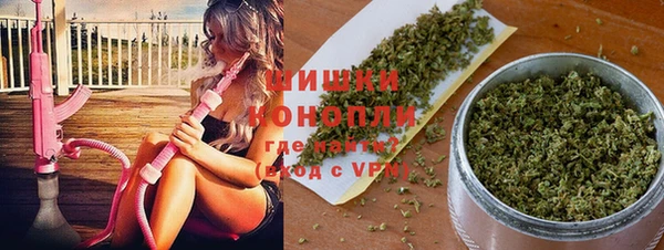 ECSTASY Михайлов