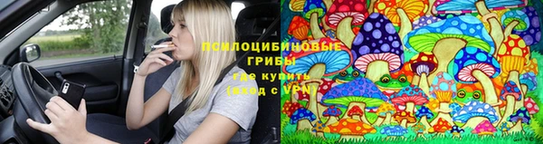 мдпв Медногорск