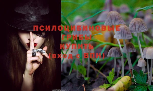 дурь Медвежьегорск