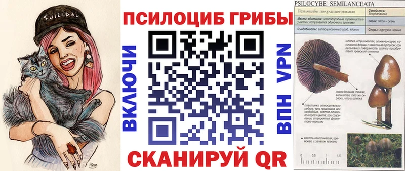 где найти   Оса  сайты даркнета формула  Псилоцибиновые грибы мухоморы 