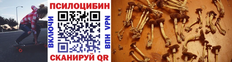 Псилоцибиновые грибы Psilocybe Оса
