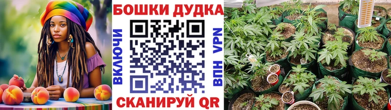 KRAKEN вход  Оса  Бошки Шишки OG Kush 
